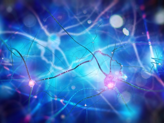 Artistic rendering of neurons in the brain