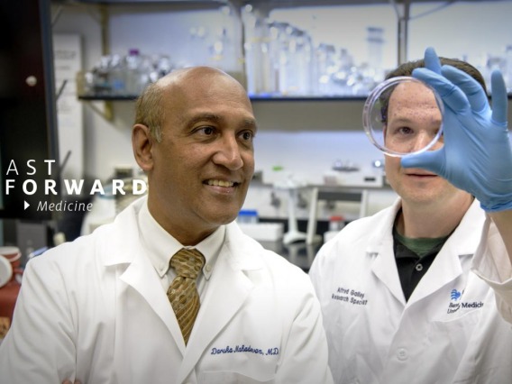 Dr. Daruka Mahadevan and Eric Weterings examine cancer cells in a petri dish.