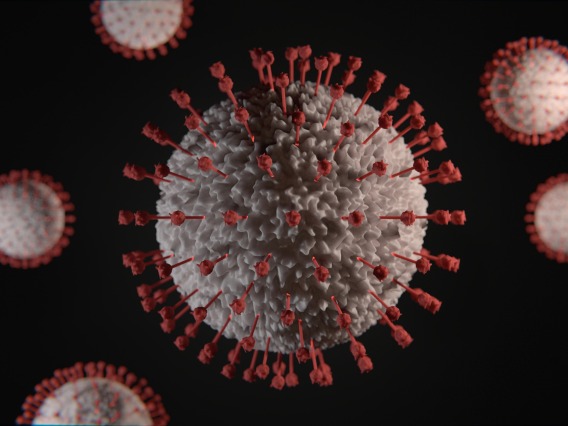 Rendition of corona virus, white cell with red spike protein surround them, against black background