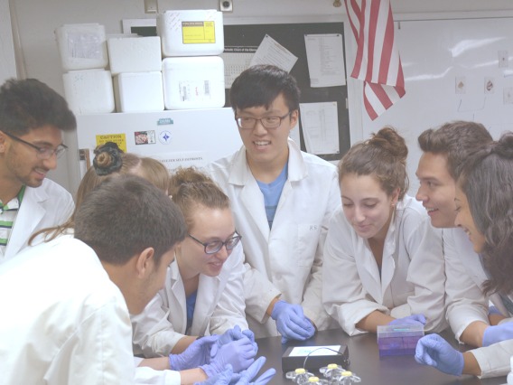 Seven graduate students in lab coats wearing protective gloves huddle around a lab table
