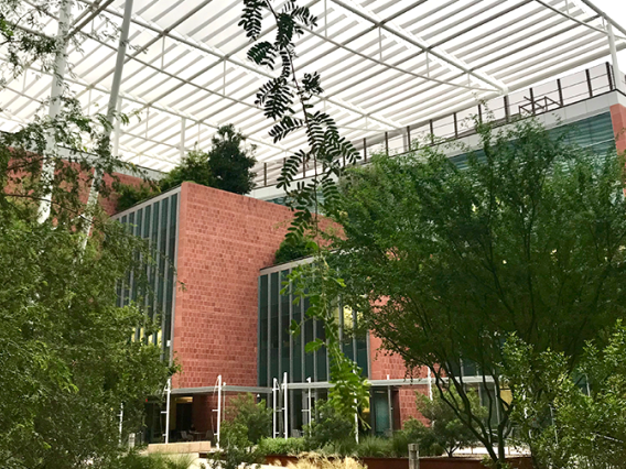 An exterior shot of the bio 5 building, plants in front