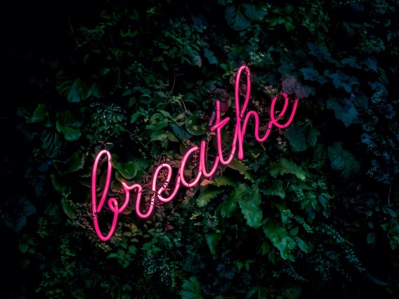 "breathe" neon sign over green shrubbery