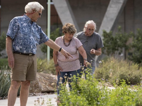 Group of elderly people looking at plants.