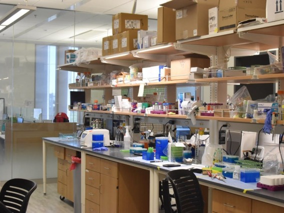 Inside a lab at UArizona's Bioscience Research Lab