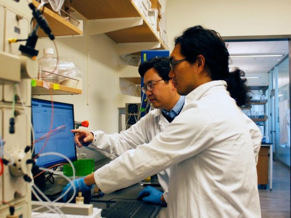 UA assistant professor Minkyu Kim discusses a protein used in his team's biomimetic red blood cell project with graduate student Sam Kim (front, no relation). 