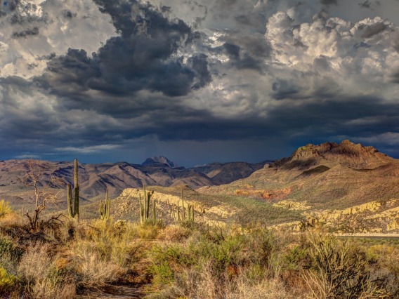 Arizona desert with cloudy sky.