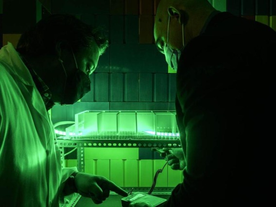 Two researchers working in a dim lab with a green light illuminating them.