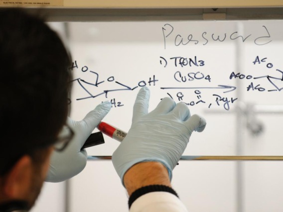Researcher writing chemical equation on glass with dry erase marker