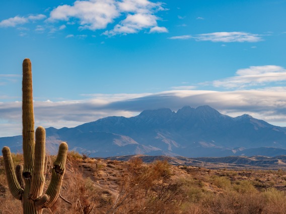 Photograph of Arizona Desert