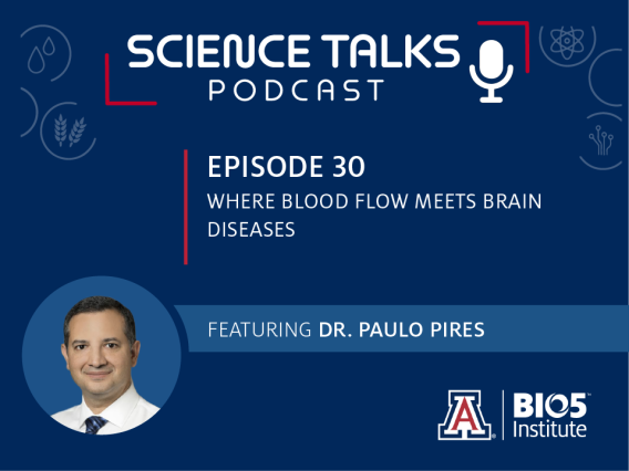 Science Talks Podcast Episode 30 Where blood flow meets brain diseases featuring Dr. Paulo Pires