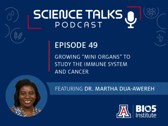 Science Talks Podcast Episode 49 Growing “mini organs” to study the immune system and cancer featuring Dr. Martha Dua-Awereh