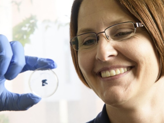 Kirsten Limesand holding up a small petri dish