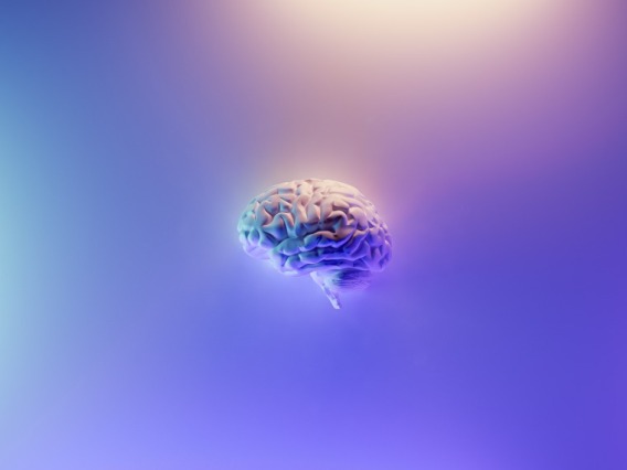 Stylized image of a brain