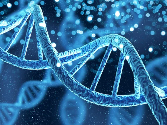 an illustration of a DNA strain