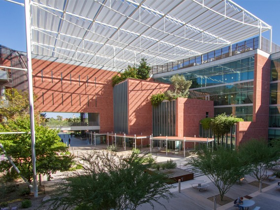an exterior shot of the thomas w keating bioresearch building
