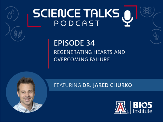 Science Talks Podcast Episode 34 Regenerating hearts and overcoming failure featuring Dr. Jared Churko