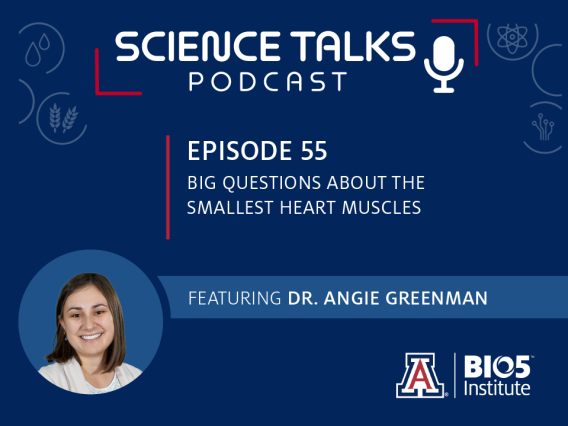 Science Talks Podcast Episode 55 Big questions about the smallest heart muscles Dr. Angie Greenman