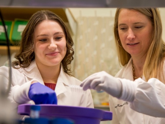 Casey Romanoski works with a graduate student in her lab