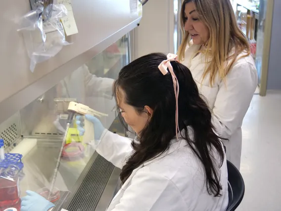 A student working in a lab with a researcher