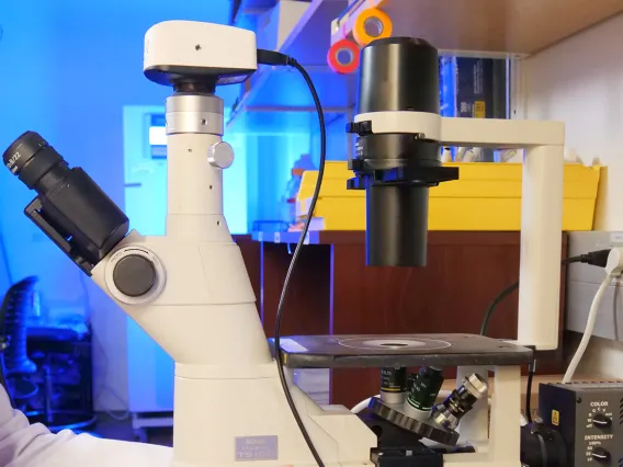 a post doc student sitting near a microscope in a lab space