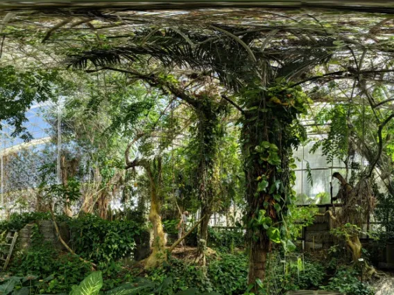 Biosphere 2 Rainforest Fisheye