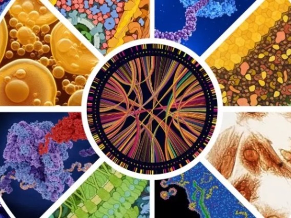 Colorful depiction of molecular and cellular biosciences