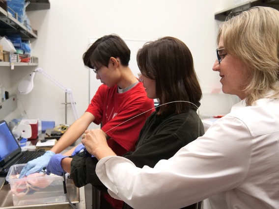 A researcher working in a lab with 2 other students