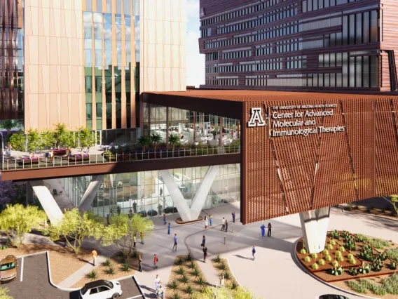 Architectural rendering of the University of Arizona’s Center for Advanced Molecular Immunological Therapies. 