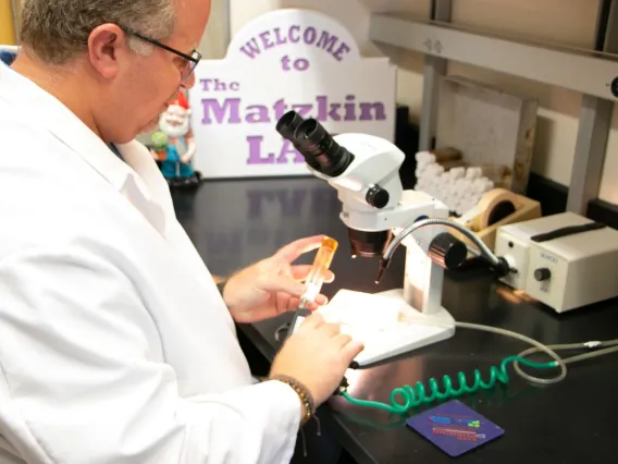 A scientist works with a microscope and other lab equipment in the Matzkin Lab, focusing intently on a small specimen.