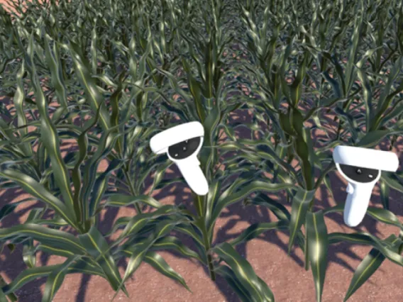 Two animated characters resembling megaphones with eyes are standing among rows of cornstalks in a field.