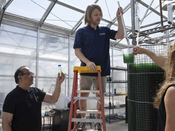 Three individuals conducting an experiment in a greenhouse at BluePlanet Labs, with one person on a ladder adjusting equipment and the others observing and assisting.