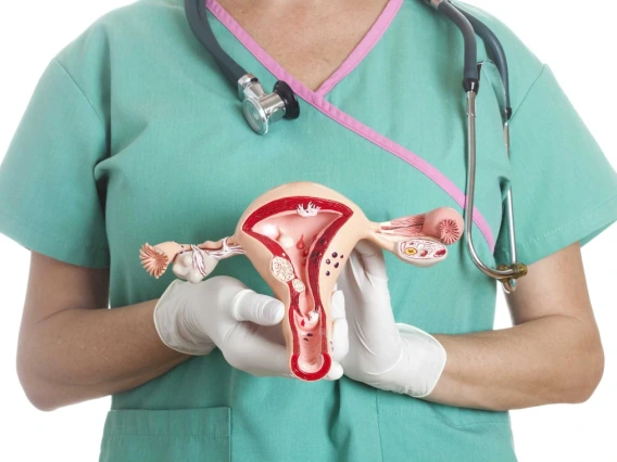 Healthcare professional in scrubs holding a model of the female reproductive system.