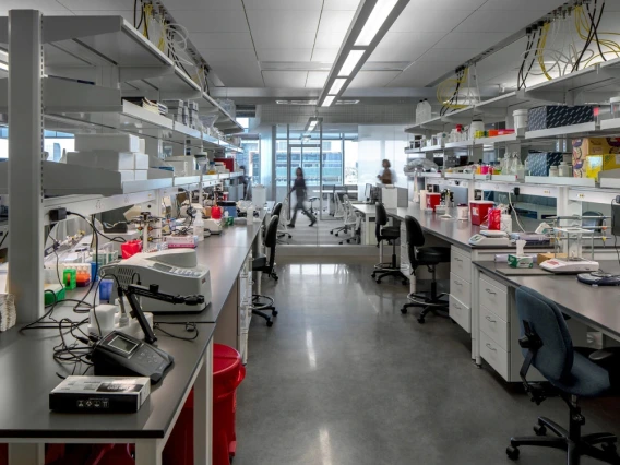 Interior of a modern laboratory with multiple workstations equipped with scientific instruments, computers, and laboratory supplies. Several chairs are positioned around the benches. Bright lighting and organized shelves are visible.