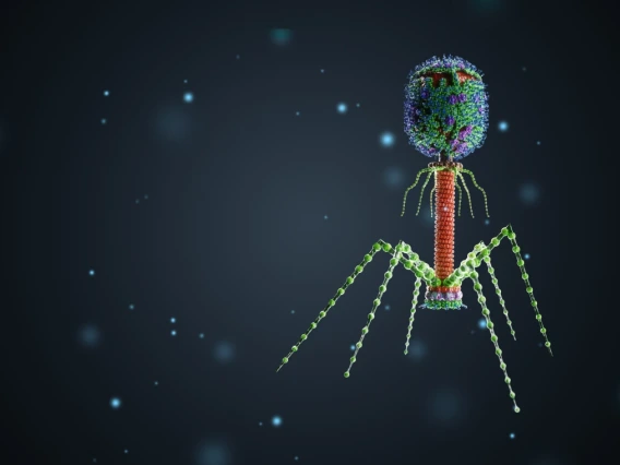 Illustration of a bacteriophage, a type of virus, shown in vibrant colors against a dark background with floating particles, highlighting its detailed structure including the head, tail, and fiber legs.