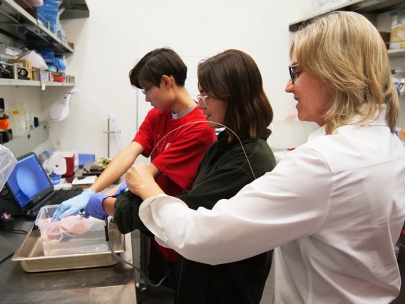 Three individuals work on a scientific experiment in a laboratory setting, using a laptop and lab equipment.