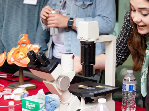 Person demonstrating a microscope at a science fair booth with educational materials and model organs on display.