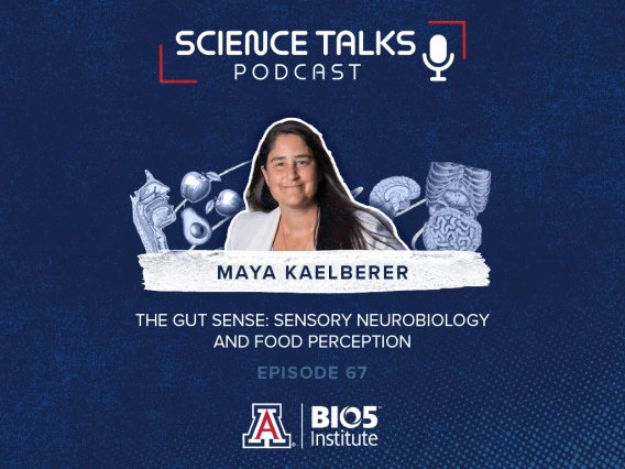 Promotional image for the Science Talks Podcast Episode 67 featuring Maya Kaelberer, discussing "The Gut Sense: Sensory Neurobiology and Perception." The image includes the BIO5 Institute and University of Arizona logos.