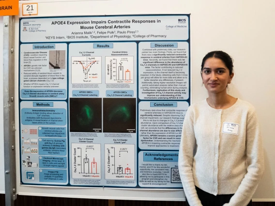 Person standing next to a research poster titled "APOE4 Expression Impairs Contractile Responses in Mouse Cerebral Arteries" at a scientific conference.