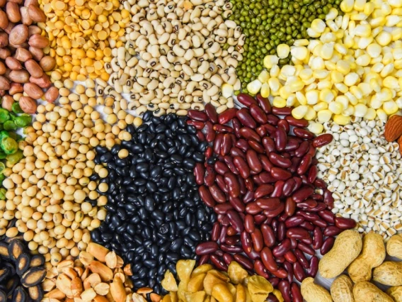 Assorted legumes and nuts arranged in a colorful mosaic pattern, featuring peanuts, almonds, black beans, and lentils.