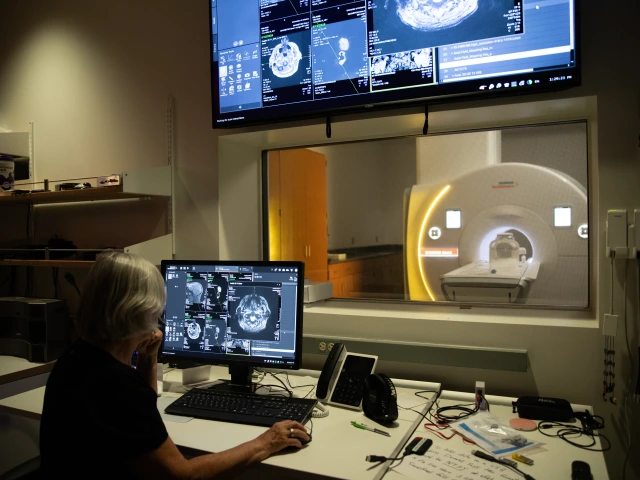 A researcher sitting at a computer looking at brain scans