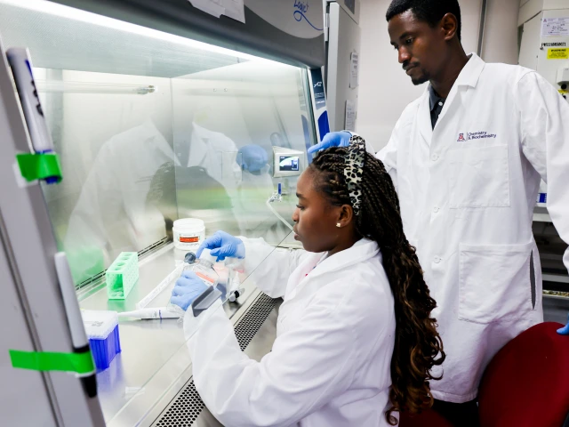 2 researchers collaborating