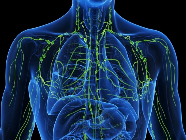 Image of the inside of a human body in blue and green coloring.