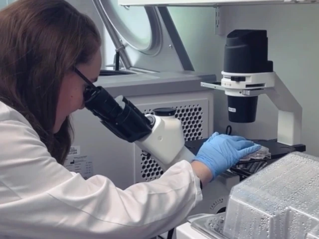 A person looking into a microscope