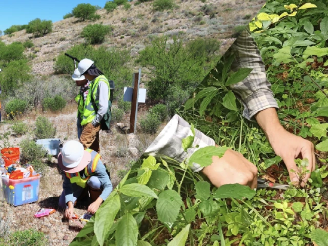 Plant-Soil-Environment Lab Header Image