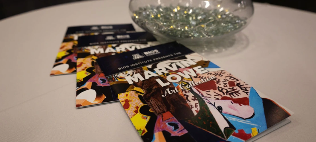 Colorful booklets featuring Marvin Lowe artwork at the BIO5 Institute