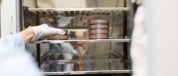 A researcher grabbing microbiological media from a fridge