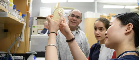 a researcher explaining the inside of a petri dish to a group of people