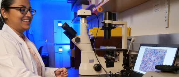 a post doc fellow student working in a lab