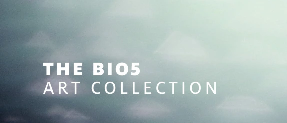 a graphic that has words that say The BIO5 Art Collection