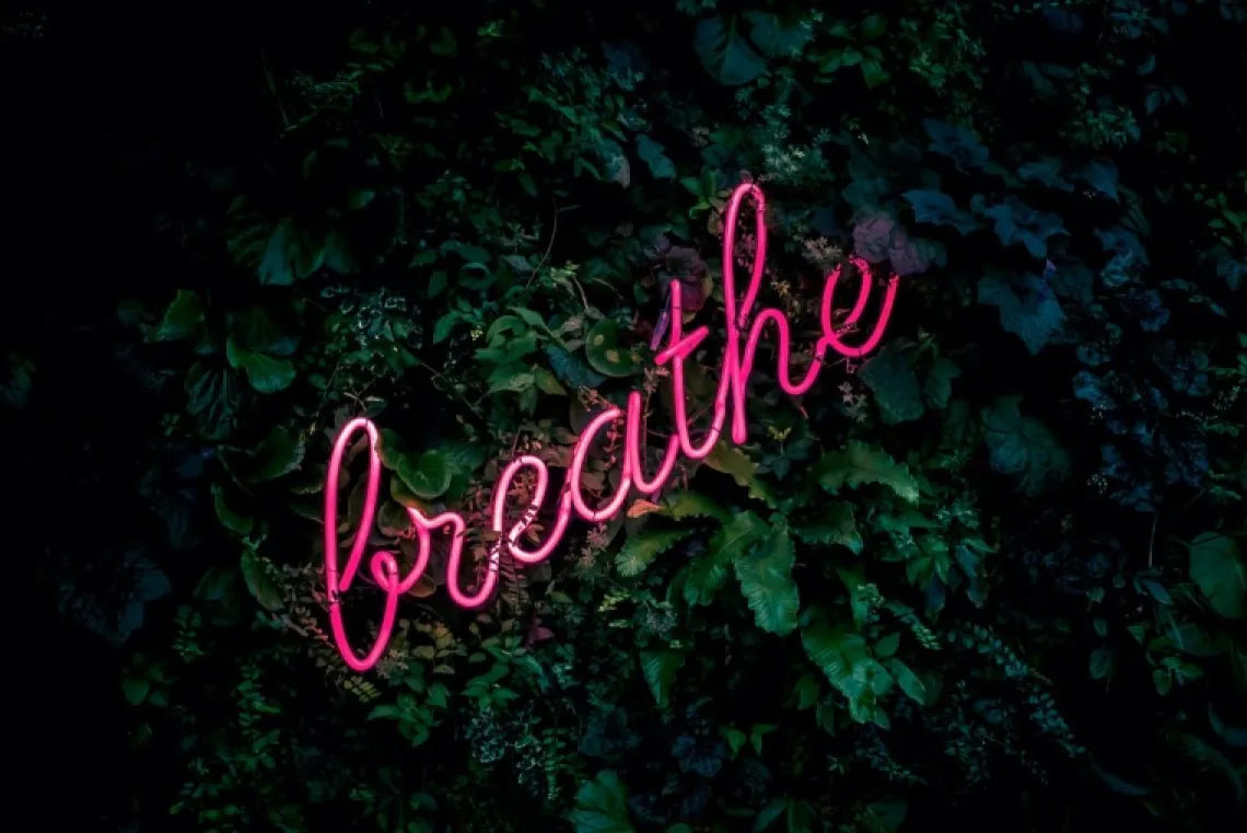 Neon sign that reads breathe